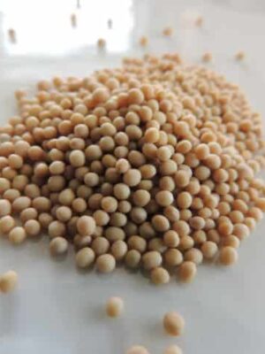 Moutarde entière 50g